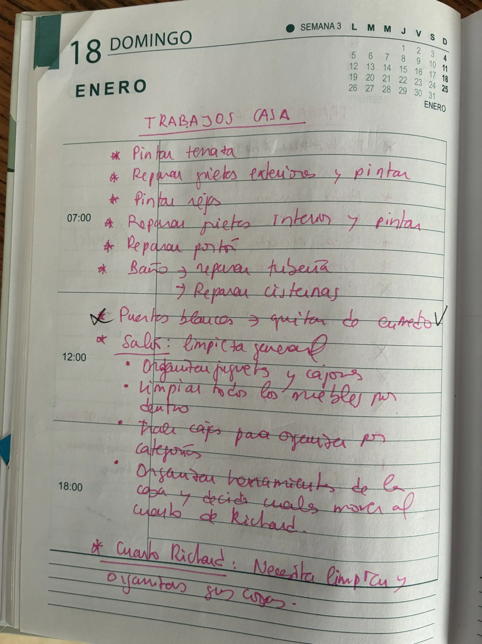 Spanish handwritten diary — house renovation task list
